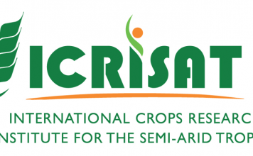 icrisat-jobs-logo